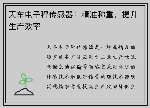 天车电子秤传感器：精准称重，提升生产效率
