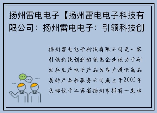 扬州雷电电子【扬州雷电电子科技有限公司：扬州雷电电子：引领科技创新的领先企业】